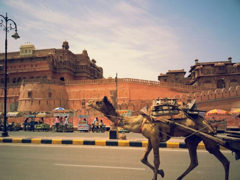 Antes de viajar a la India